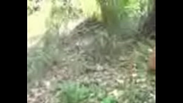 Baru Nih Video Desi 3gp, Bikin Makin Panas!