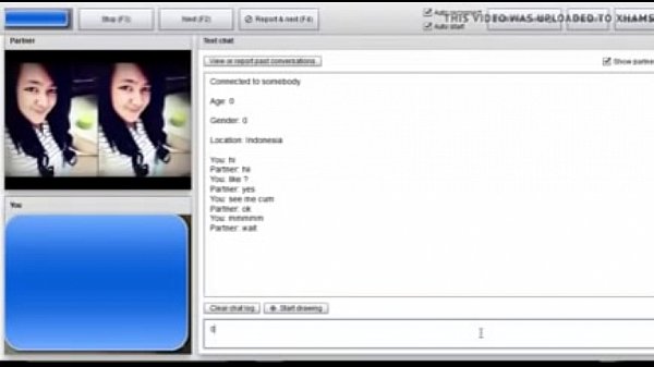 Nonton Cam 4 Cewek Indonesia Panas, Bikin Makin Erotis